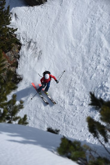 Der ALPIN-Skitest 2019/20