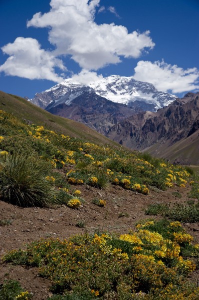 Aconcagua (6962 m): Der höchste Berg Argentiniens -  und zugleich aller WM-Teilnehmer