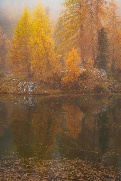 whispers of autumn
