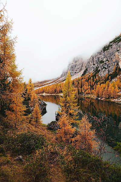 AUTUMN MOOD