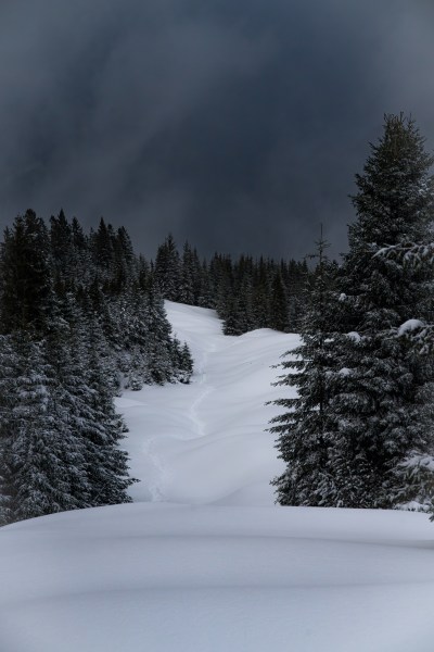 Kein Schwarz-Weißbild