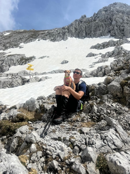 Hund im Schnee