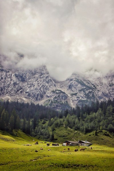 Wetterstein Alm