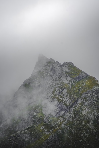 Moosbedeckte Bergspitze im Nebel
