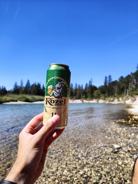 Sommer Sonne Kaktus an der Isar