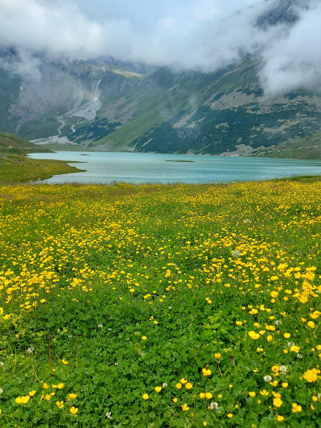 Am Rifflsee