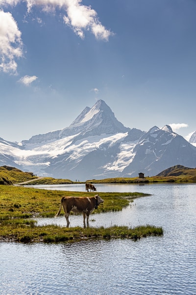 Bis 25.08.24 Bilder zum Thema "Wasser marsch: Bergseen, Flüsse, Bäche, Wasserfälle" hochladen!