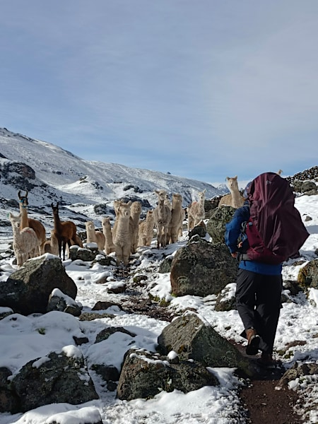 Begegnung im Schnee