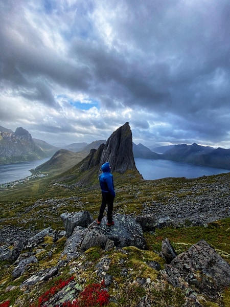 What the Fjord