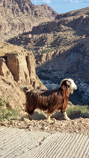 Trekking im Oman