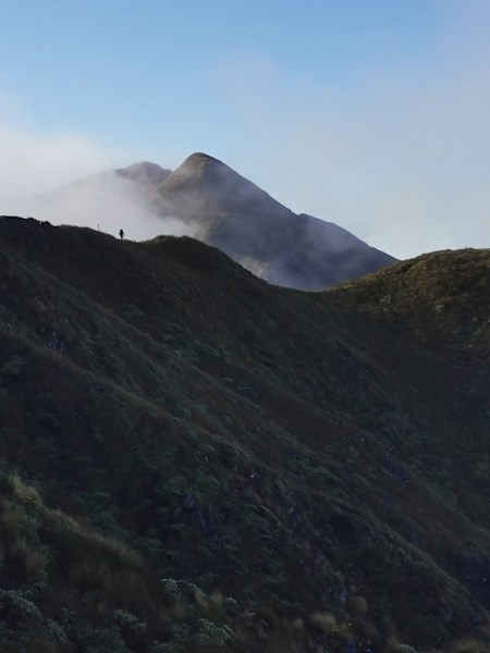 Te Araroa 