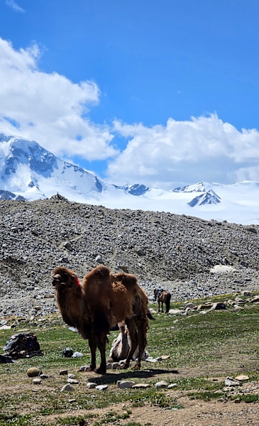 Altaigebirge, Zwischen China und Russland