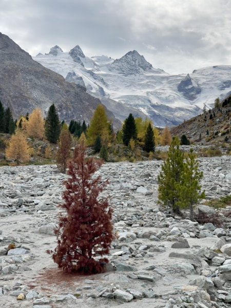 Farbenzauber im Engadin