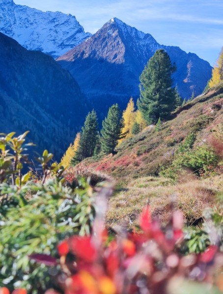 Herbstzauber im Ötztal