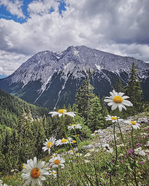 Einfach dasitzen und schauen 
