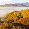 Fotografieren im Herbst: So gelingen euch die besten Bilder