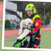 Wanderer mit Hund blockiert: Rettung kommt per Heli