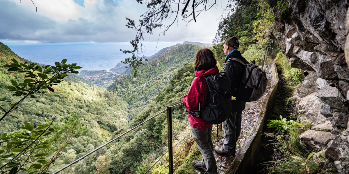 Mystisches Grün: Die Lorbeerwälder auf Madeira erinnern an "Fangorn".