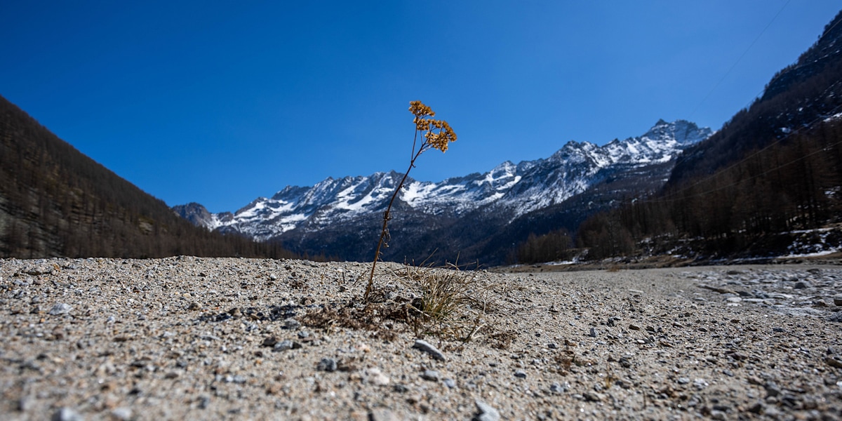 Geringe Niederschläge, schneearme Winter und lange Hitzeperioden verschärfen die Wassersituation in den Bergen.