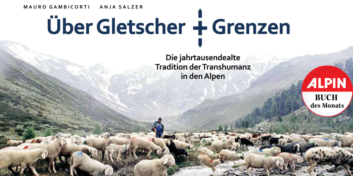 Rezension, Mauro Gambicorti, Anja Salzer, Über Gletscher und Grenzen, Transhumanz, Schafe, Weiden, Almen, 