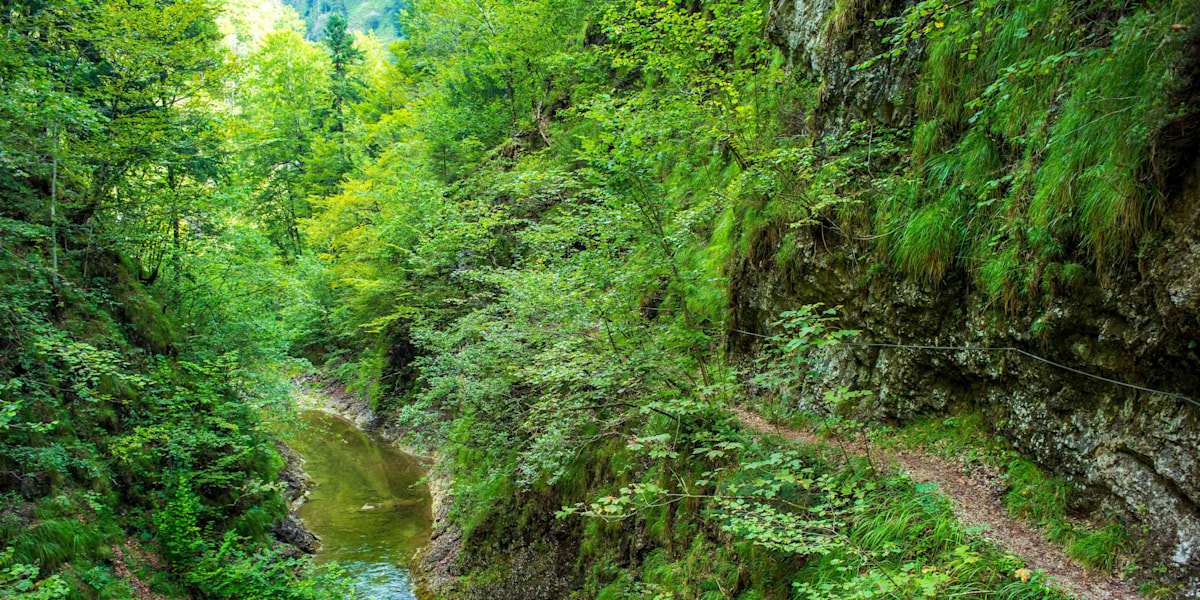 Der Triftsteig im Nationalpark Kalkalpen bei Reichraming (Symbolbild)