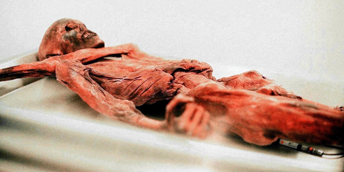 Neue Studie zur Abstammung von Ötzi vorgestellt