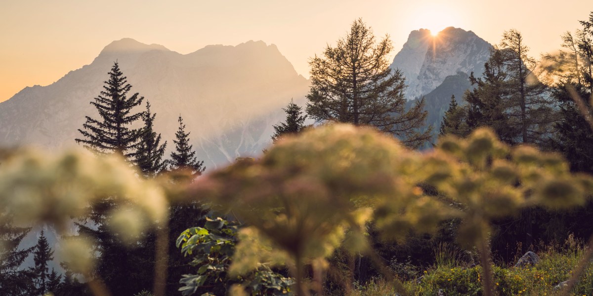 Nicht nur das Tal ist wild, auch die Berge haben im Gesäuse ihre Ecken und Kanten.