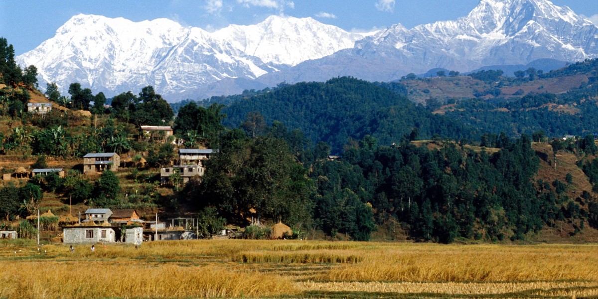 Nepal, Erdbeben, Touristen, Katastrophe, Trekker, Reiseanbieter, Kathmandu, 