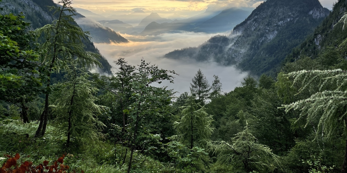 ALPIN-PICs im November: Mystische Bergwelt - Nebel- und Wolkenstimmungen