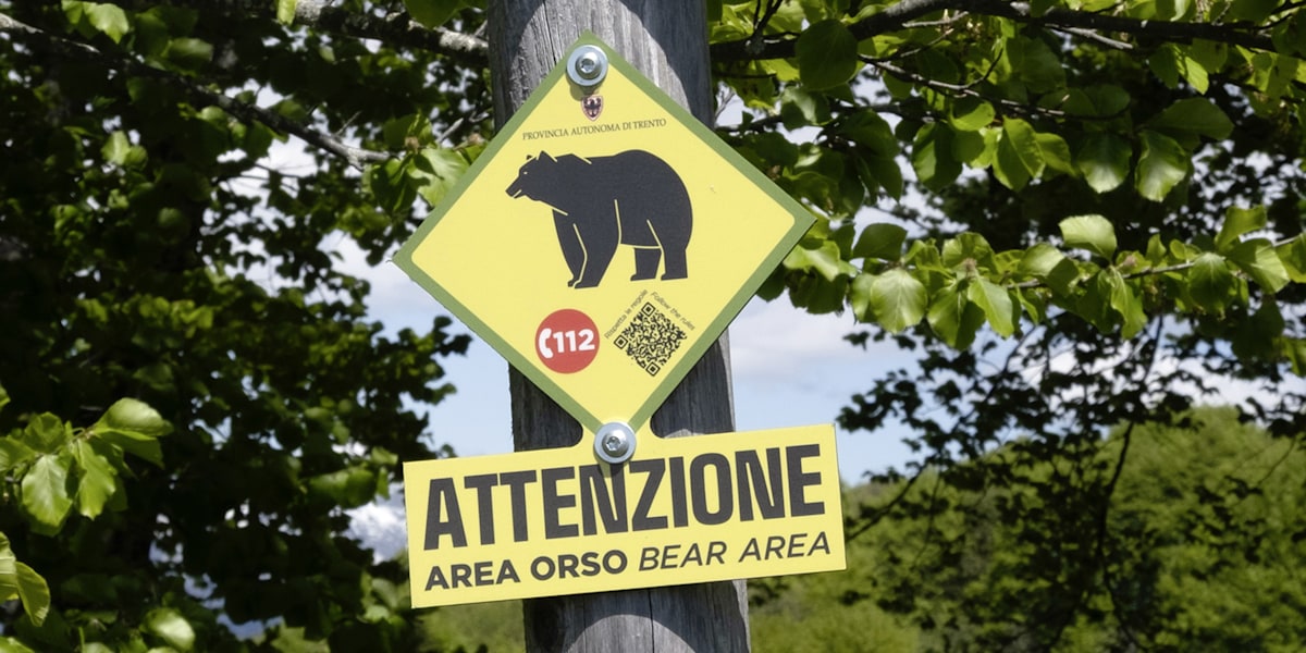 Warnschilder weisen in Teilen des Trentino auf mögliche Bärenbegegnungen hin. 