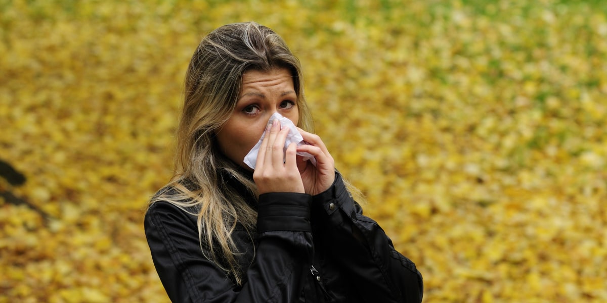 Grippe & Co.: Das Erkältungs-ABC