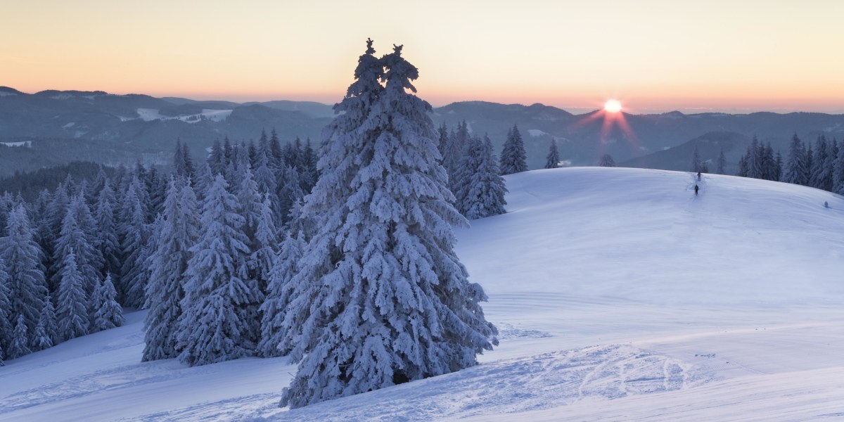 "Bergauf-Bergab": Experten-Tipps für die Skitour