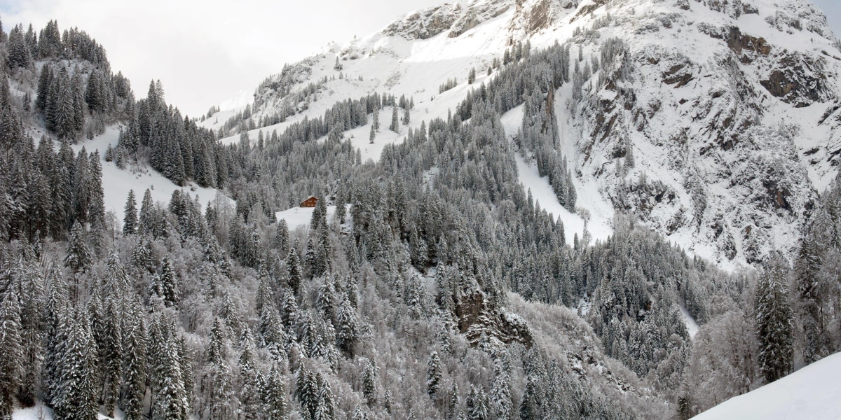 Vorarlberg: Gefrorene Leiche auf Berghütte entdeckt