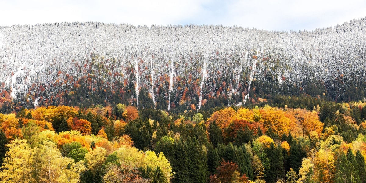 ALPIN-PICs im September: Die Siegerbilder des Fotowettbewerbs "Herbst" 