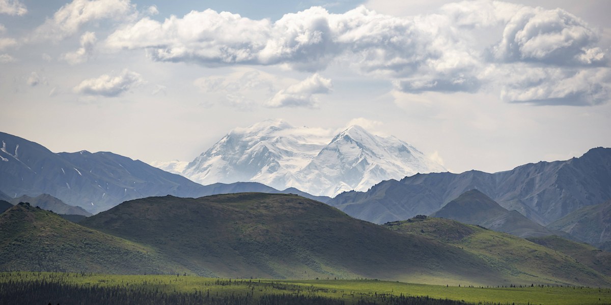 Tundra und vergletscherter Gipfel des Denali (6190 m).