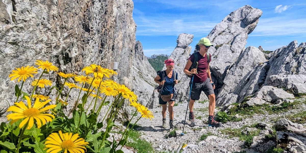 Noch zeigen sich viele Bergblumen (wie hier am Drusentor) in voller Blütenpracht.