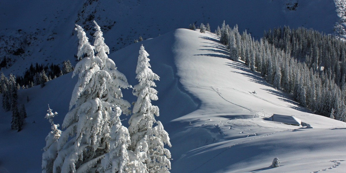 Der Alpenrand als Wintermärchen 