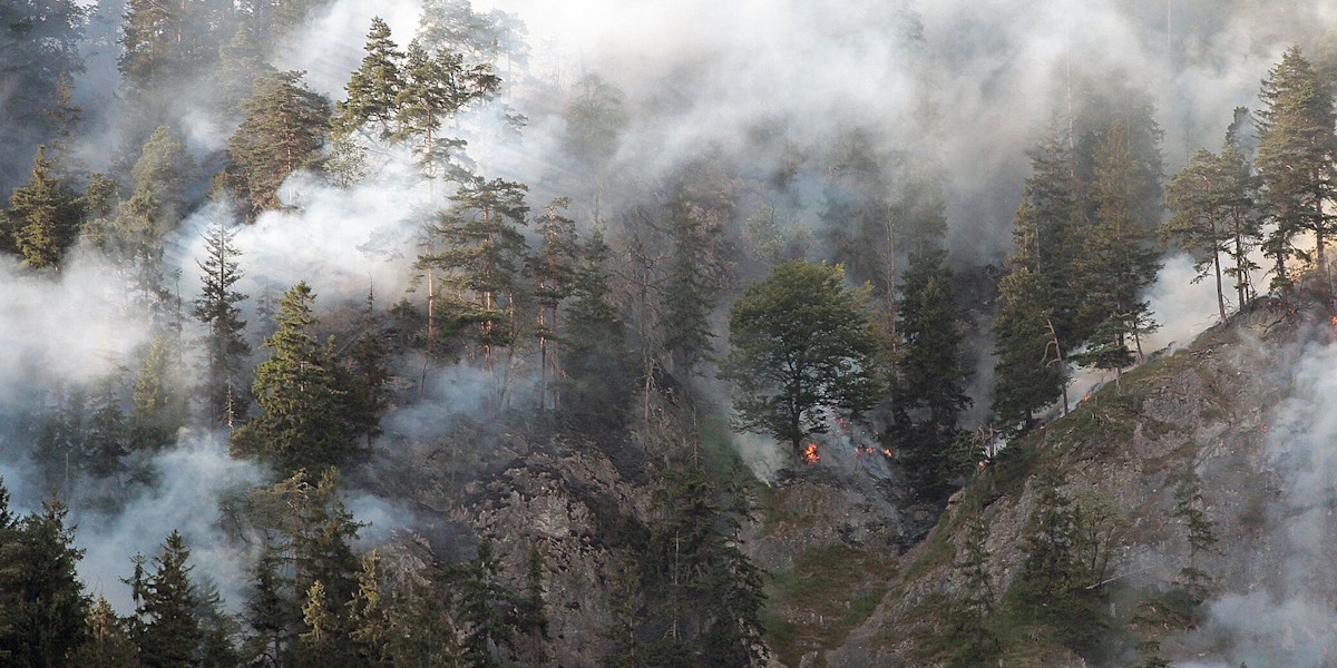 Ötztal: Neunjährige lösen mit Lagerfeuer Waldbrand aus (Symbolbild).