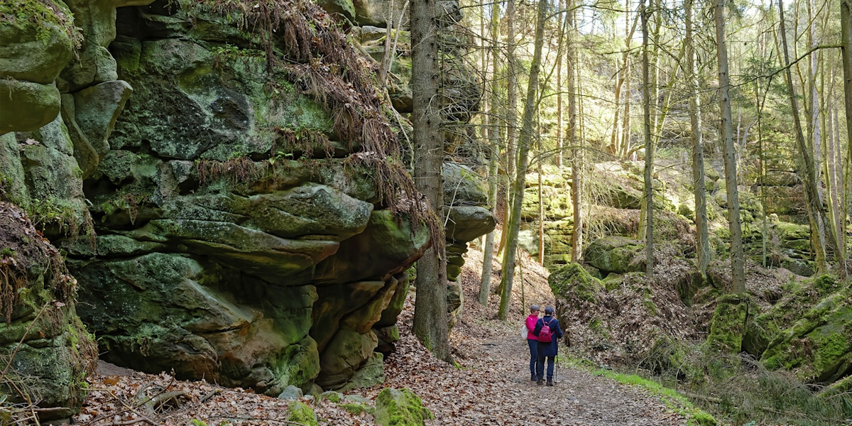 Wandern im Uttewalder Grund, Felsental bei Lohmen. (Symbolbild)