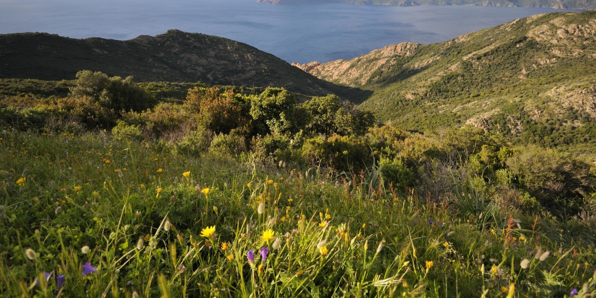 Paar-Urlaub auf Korsika zu gewinnen
