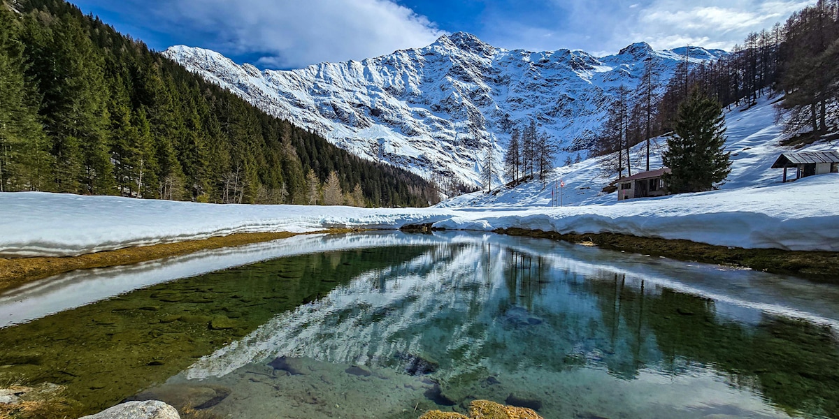 Jetzt frisch gestartet: Der ALPIN Fotowettbewerb "Endlich Frühling!"