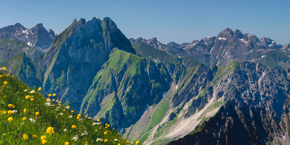 Blick in die Allgäuer Alpen.