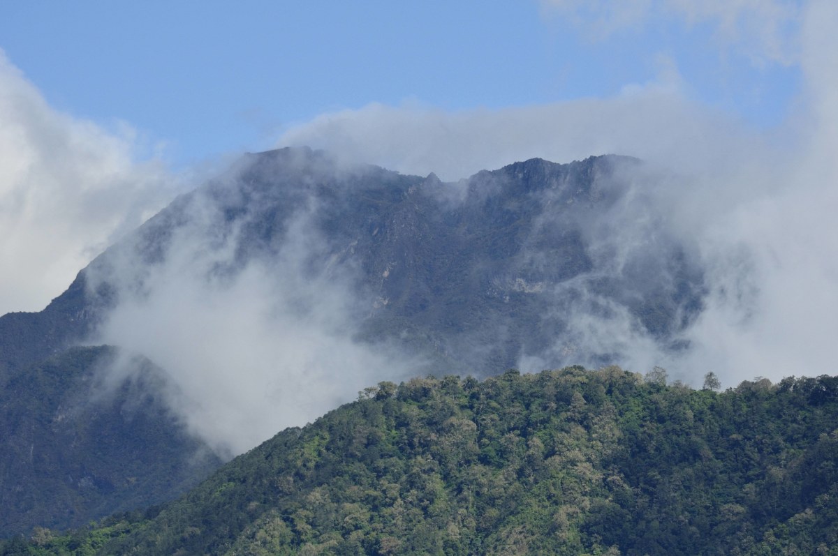 Botrange (694 m): Der höchste Berg Belgiens