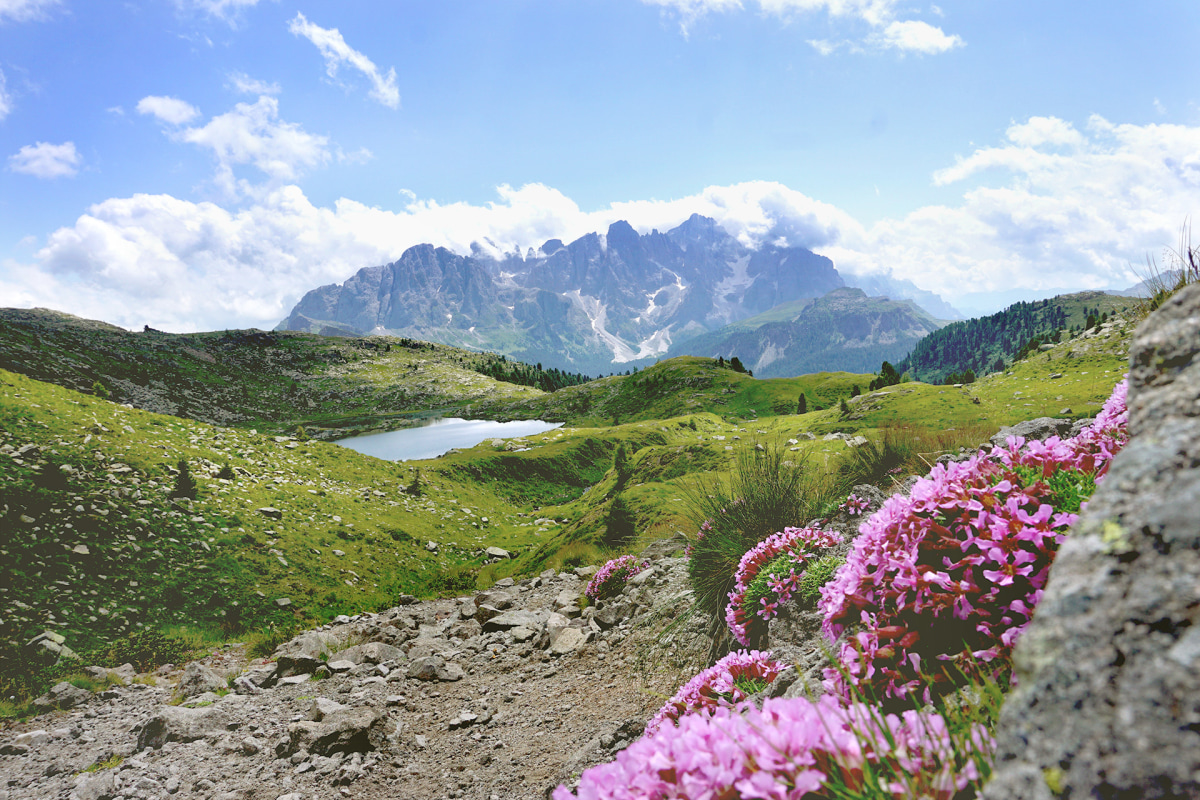 Alles zum Sentiero della Pace in Italien alpin.de