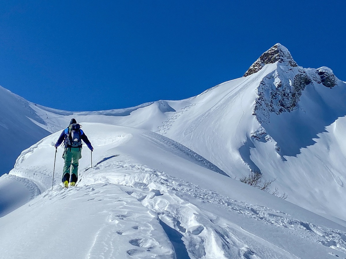 2 in 1 Die große ALPINDoppelausgabe