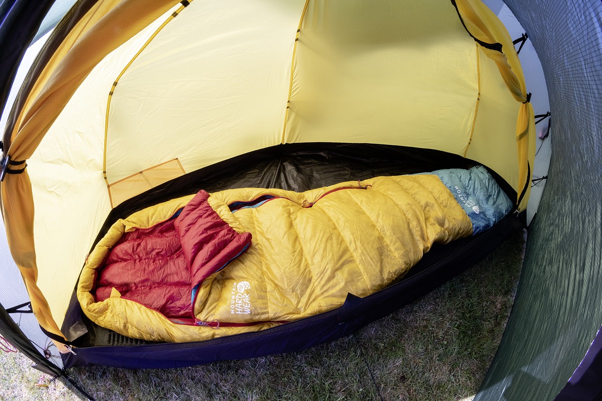 The north face gold kazoo test online