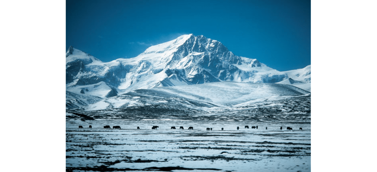1981: Shishapangma (8046 m / Himalaya)