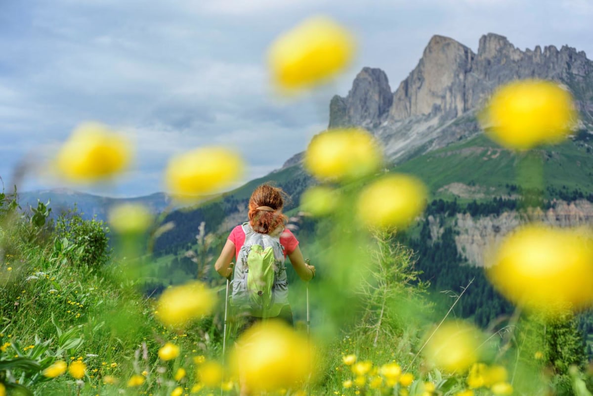 <p>Der Rosengarten im Hintergrund und auch vorne ist es blumig.</p>