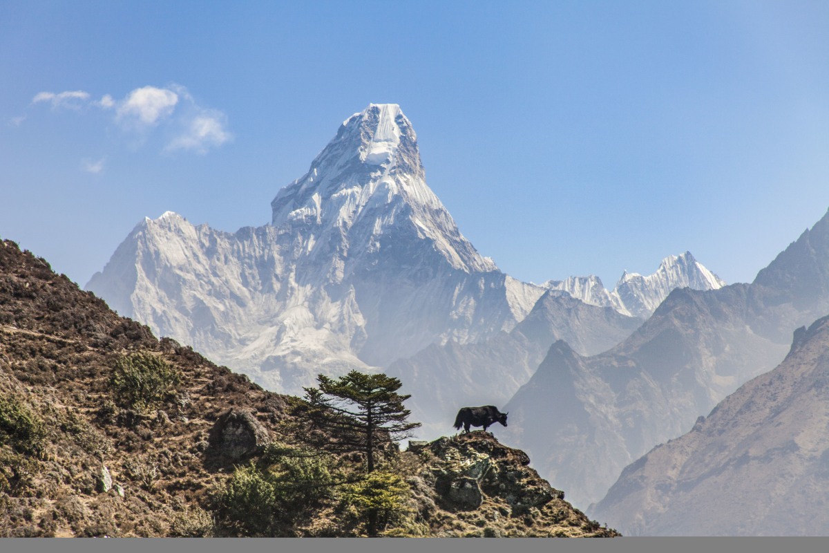 Platz zwei: "Ama Dablam (Das Matterhorn Nepals)"