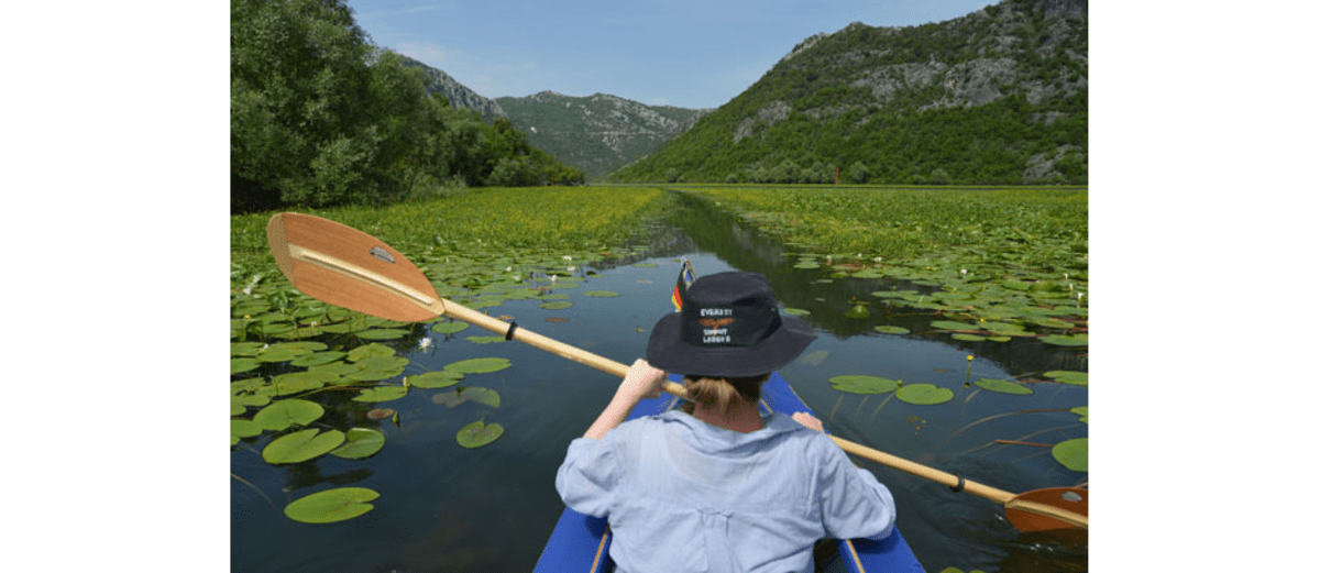 ...in einem Meer von Seerosen